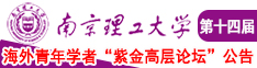 操骚妇在线视频南京理工大学第十四届海外青年学者紫金论坛诚邀海内外英才！